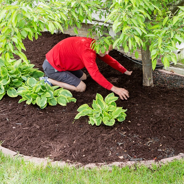 mulch installation typically needs to be replenished every 1-2 years to maintain its effectiveness